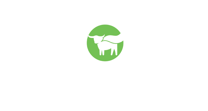 Beyond Meat